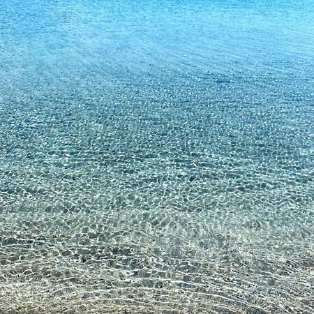 Alexa -tourism License 9331 Paralimni